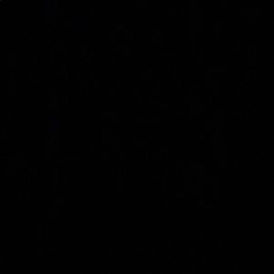 Meet your Posher, Jumya